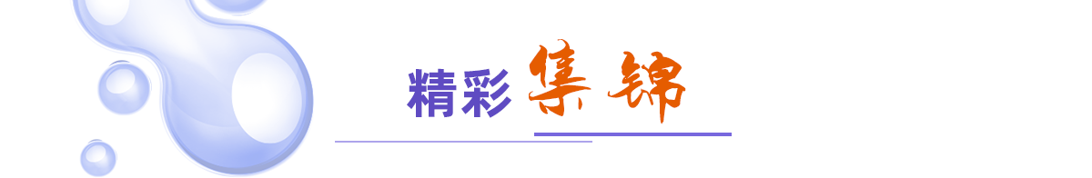 精彩集锦