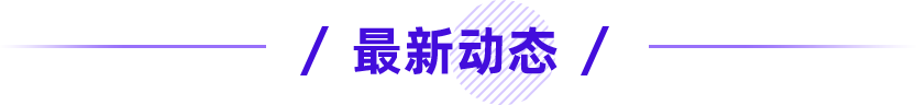 最新动态