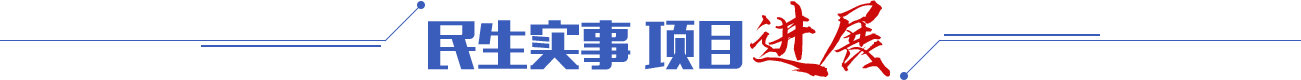 民生实事 项目进展
